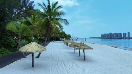 航拍视频沙滩椰子树视频的预览图