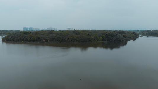 4K实拍雾霾天成都青龙湖湿地公园视频的预览图