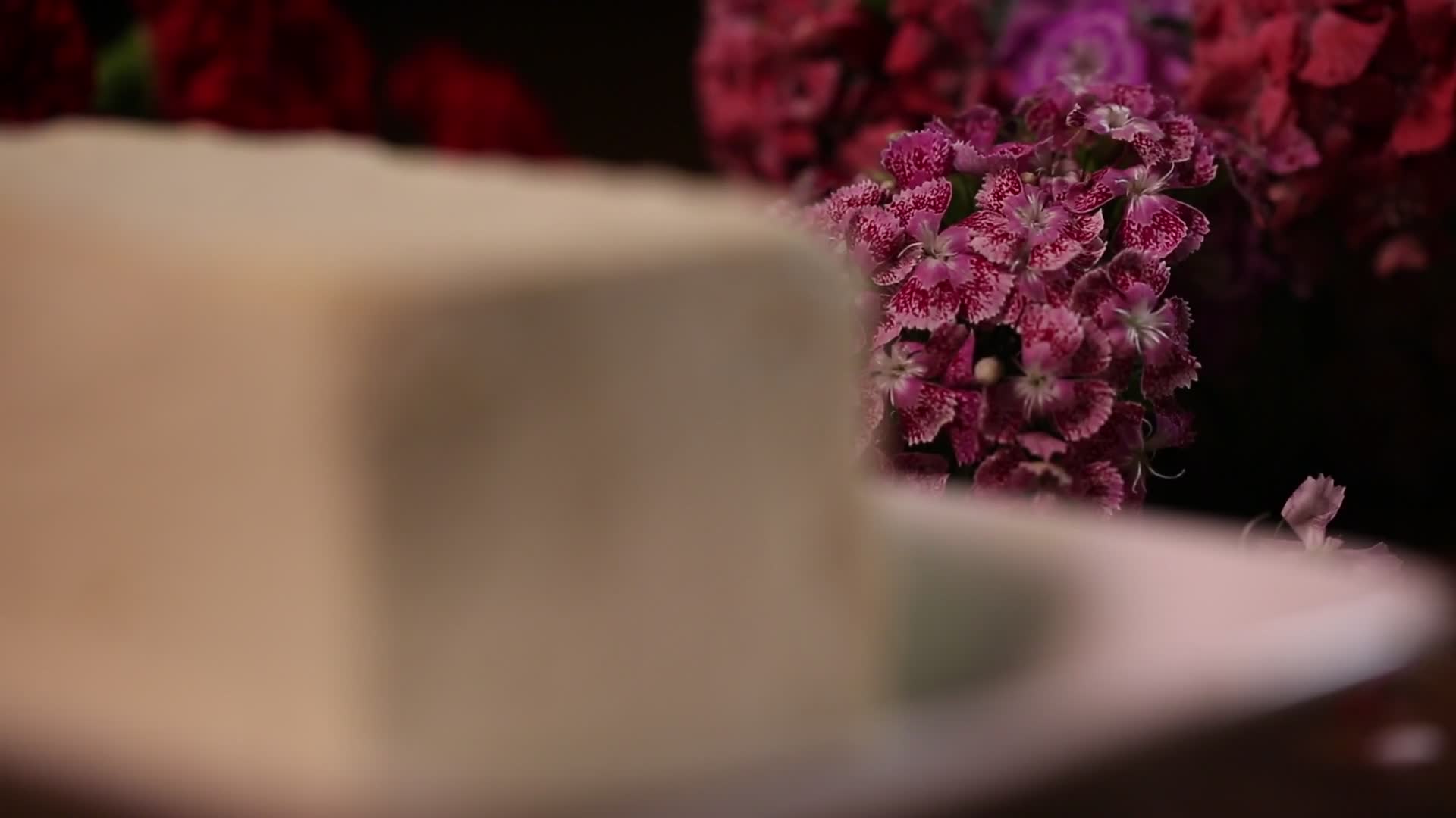 豆腐美食视频的预览图