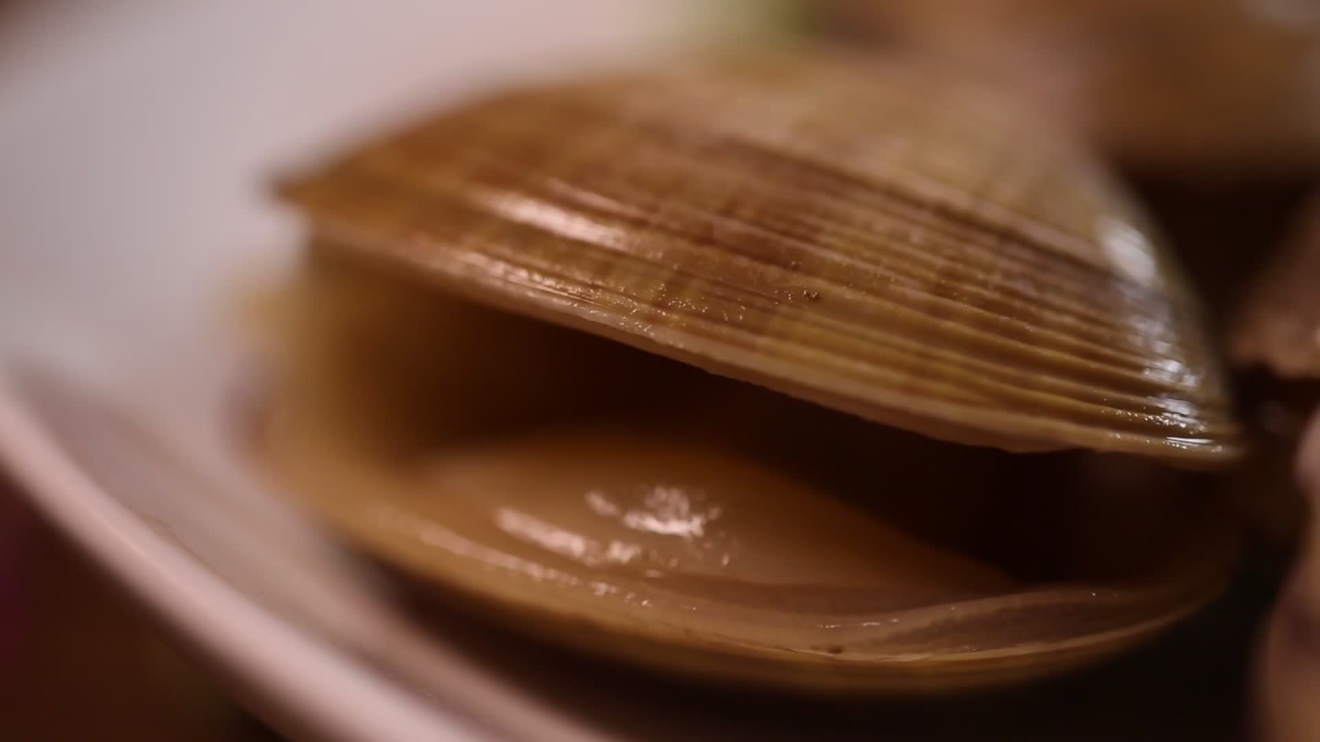 实拍海鲜花蛤蛤蜊视频的预览图