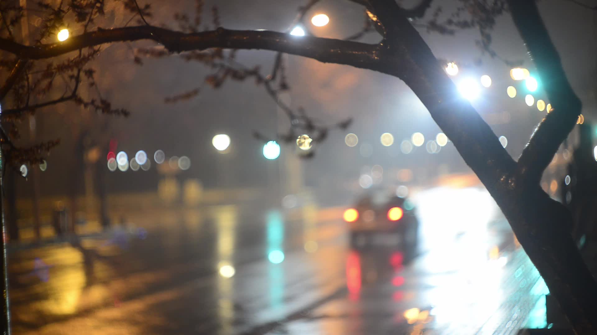 北京春雨视频的预览图