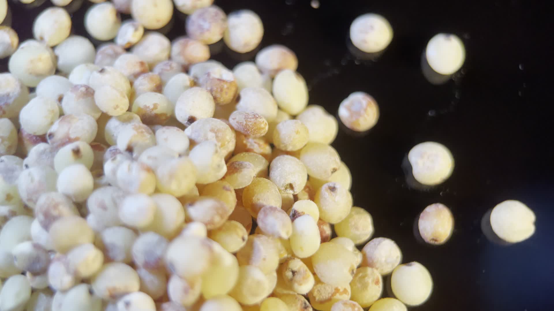 高粱米杂粮五谷红高粱视频的预览图