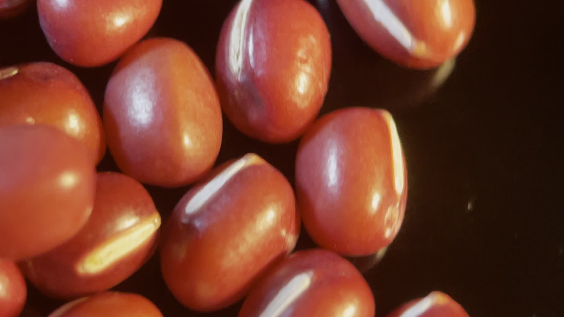 红豆赤小豆粗粮杂粮视频的预览图