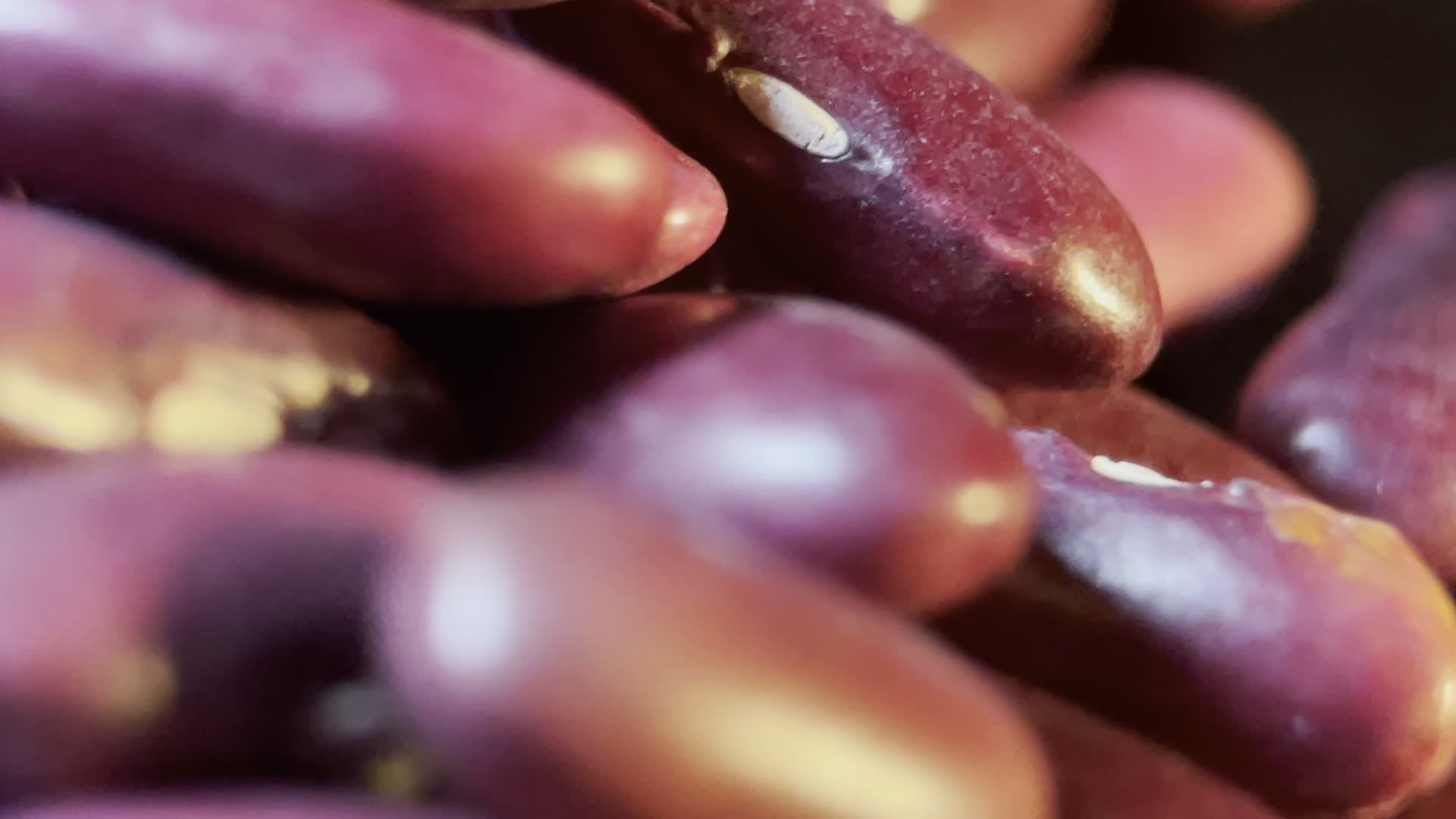 实拍4k微距特写芸豆种子视频的预览图