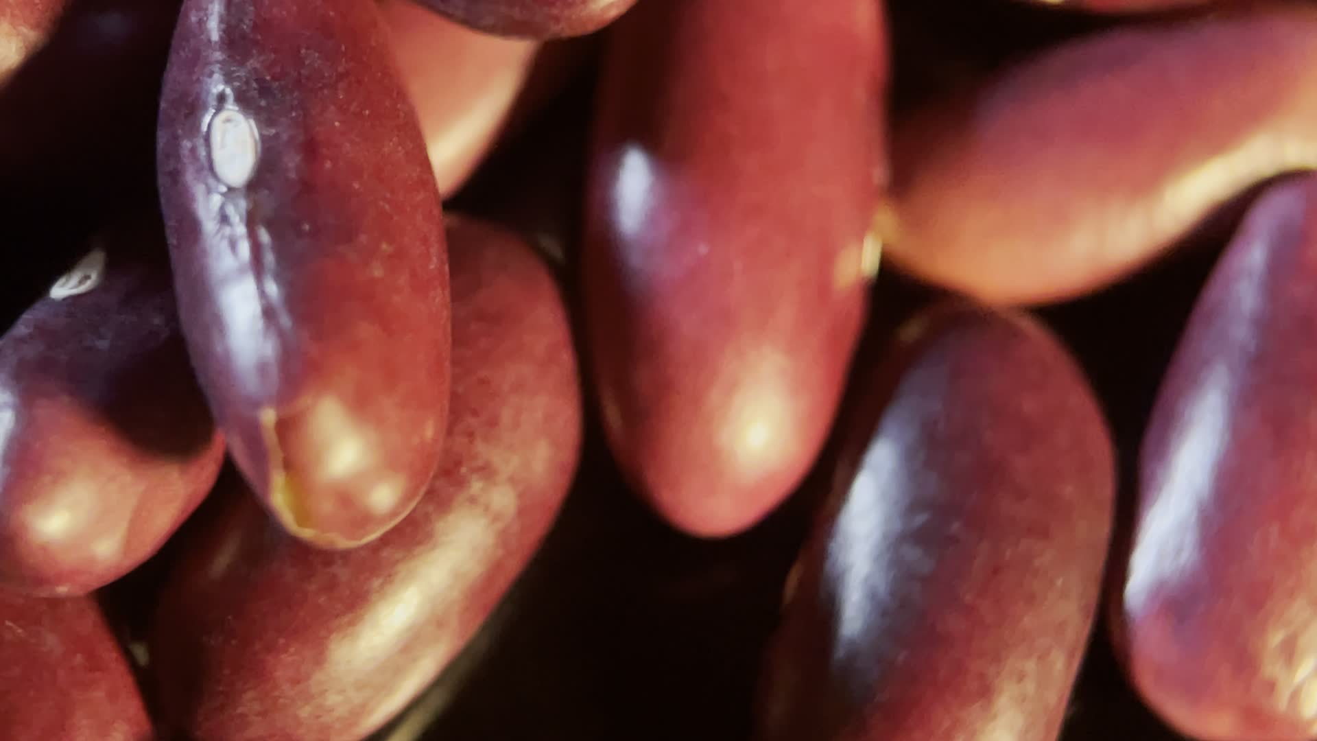 实拍4k微距特写芸豆种子视频的预览图