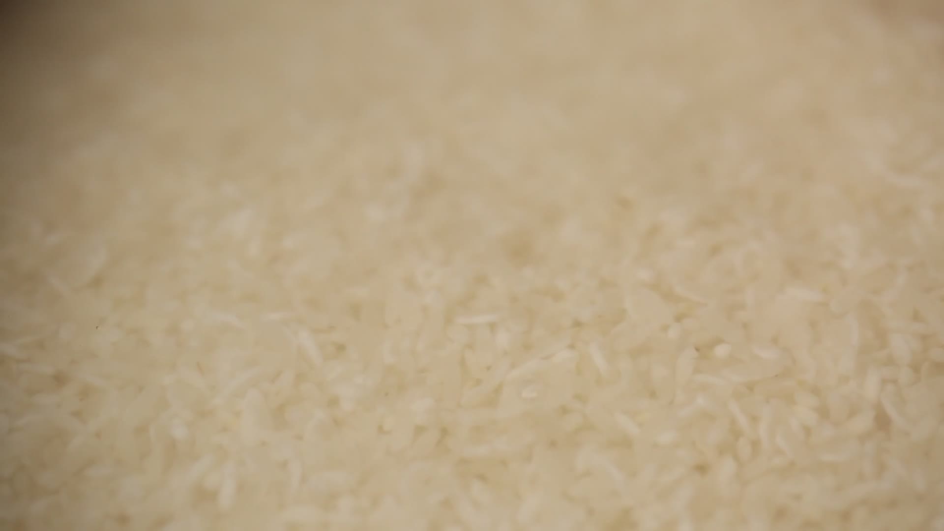 实拍焖大米饭视频的预览图