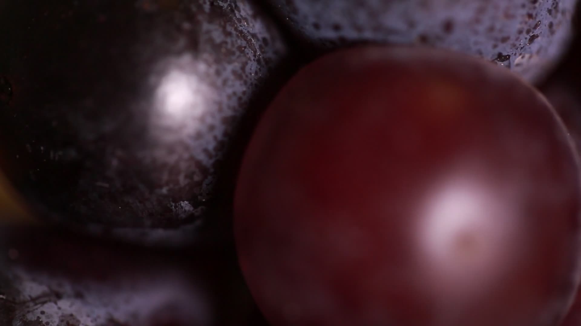 葡萄上的赤霉素果刺视频的预览图