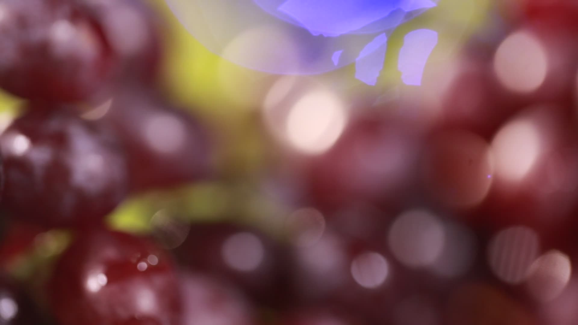 葡萄水果特写视频的预览图