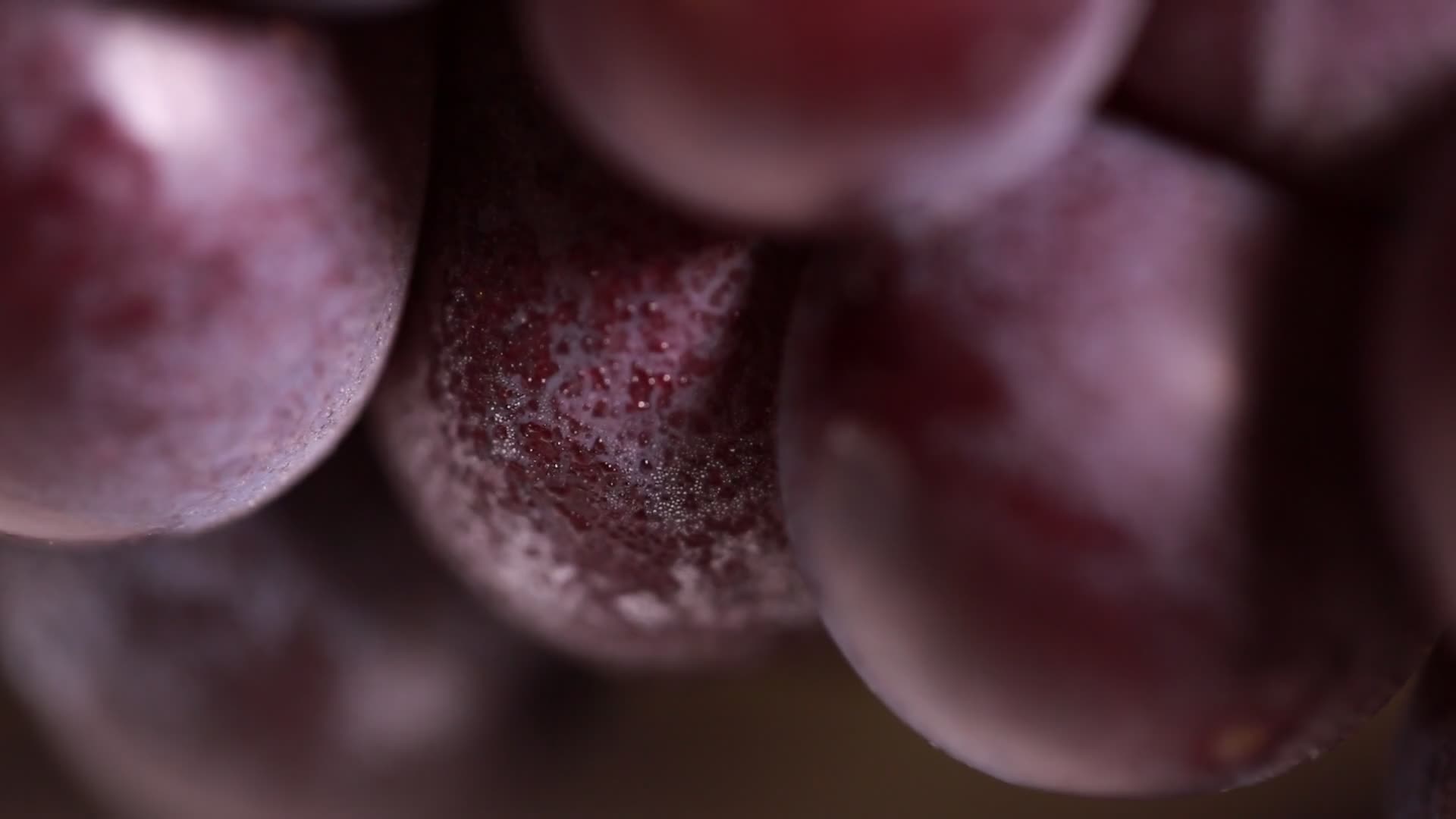 葡萄水果特写视频的预览图