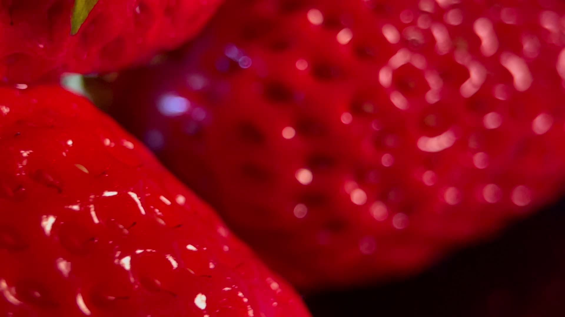 水果草莓视频的预览图