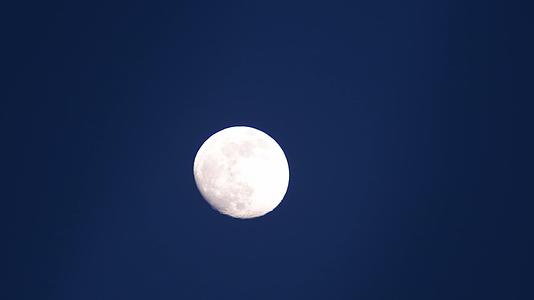 夜晚夜空月亮视频的预览图