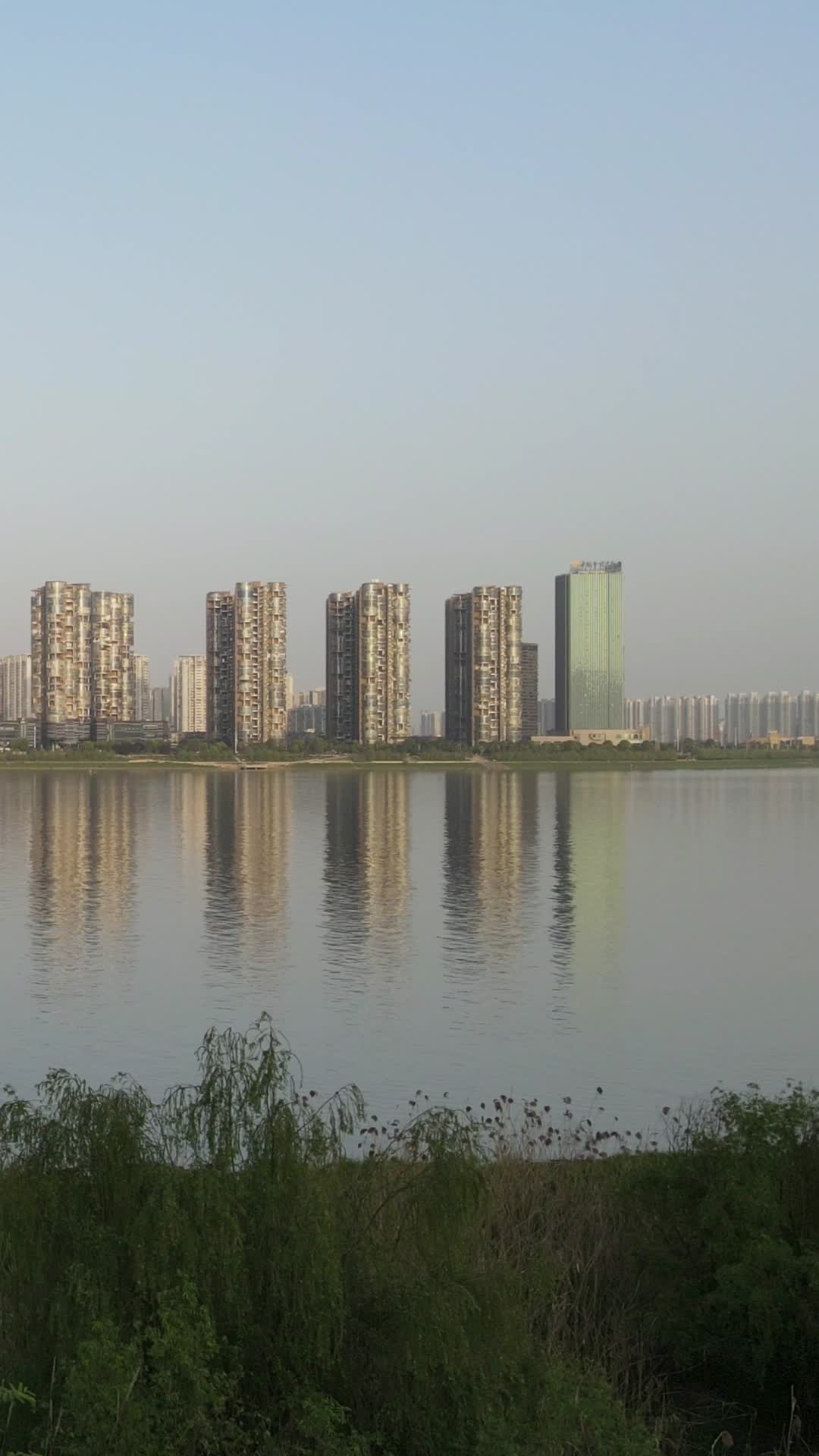 航拍湖南湘江城市高楼竖屏视频的预览图