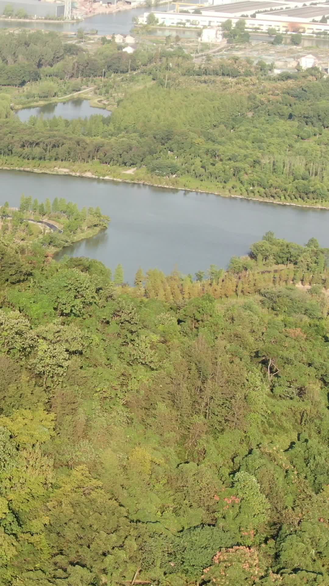 航拍浙江绍兴湿地公园视频的预览图