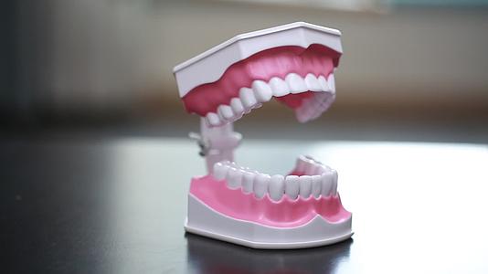 实拍牙齿模型演示刷牙视频的预览图
