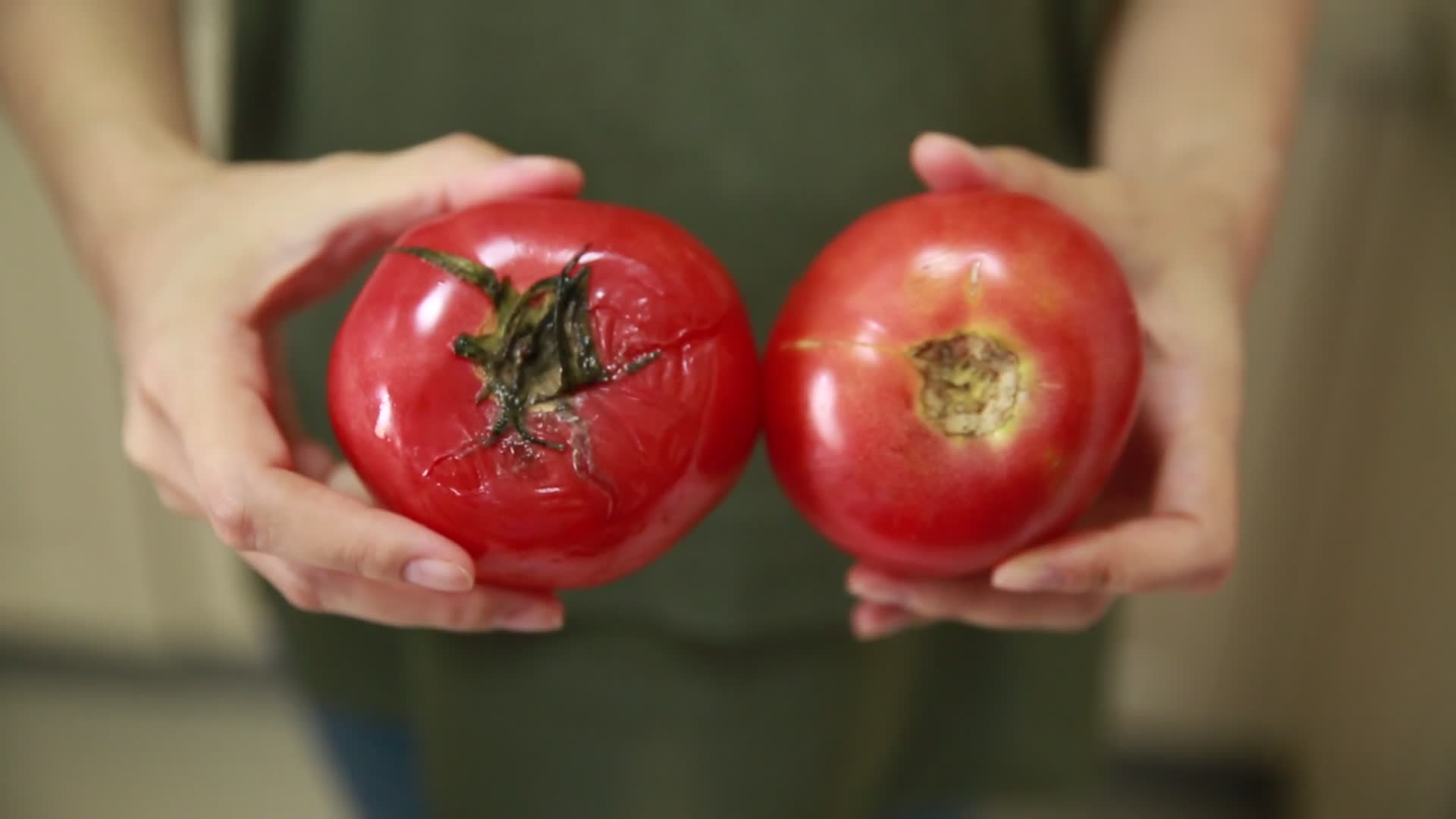 实拍对比催熟农药西红柿视频的预览图