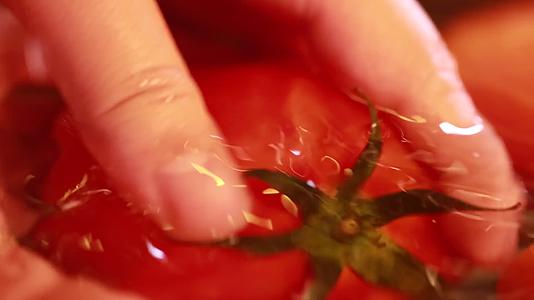 实拍清水浸泡清洗西红柿视频的预览图