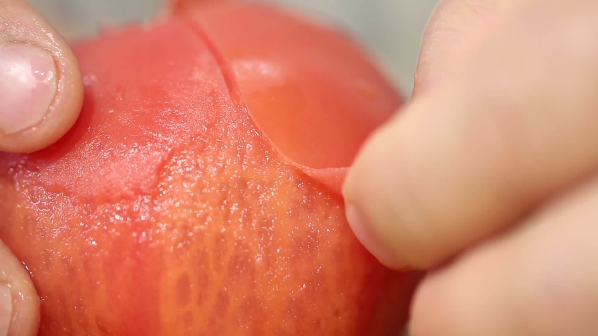实拍开水烫番茄去皮视频的预览图