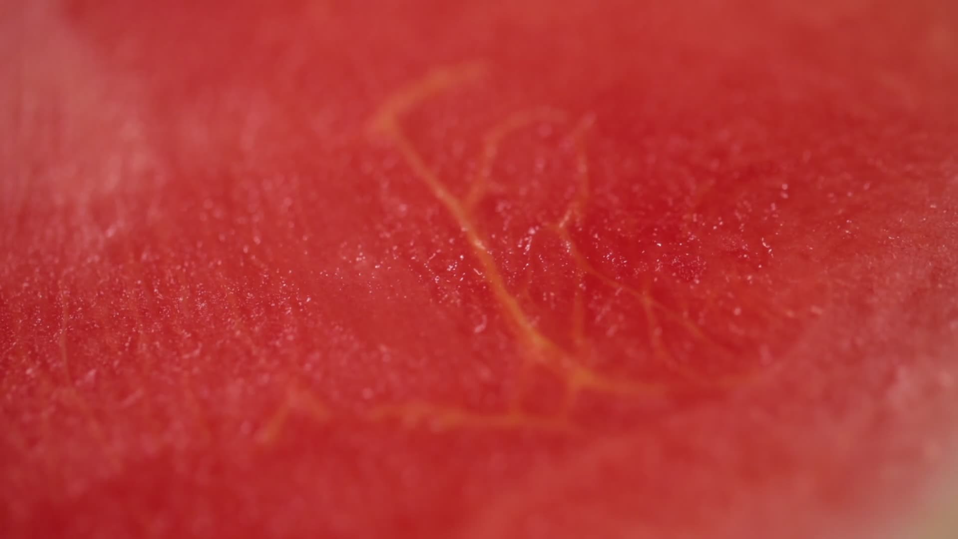 实拍西瓜果肉西瓜瓤视频的预览图