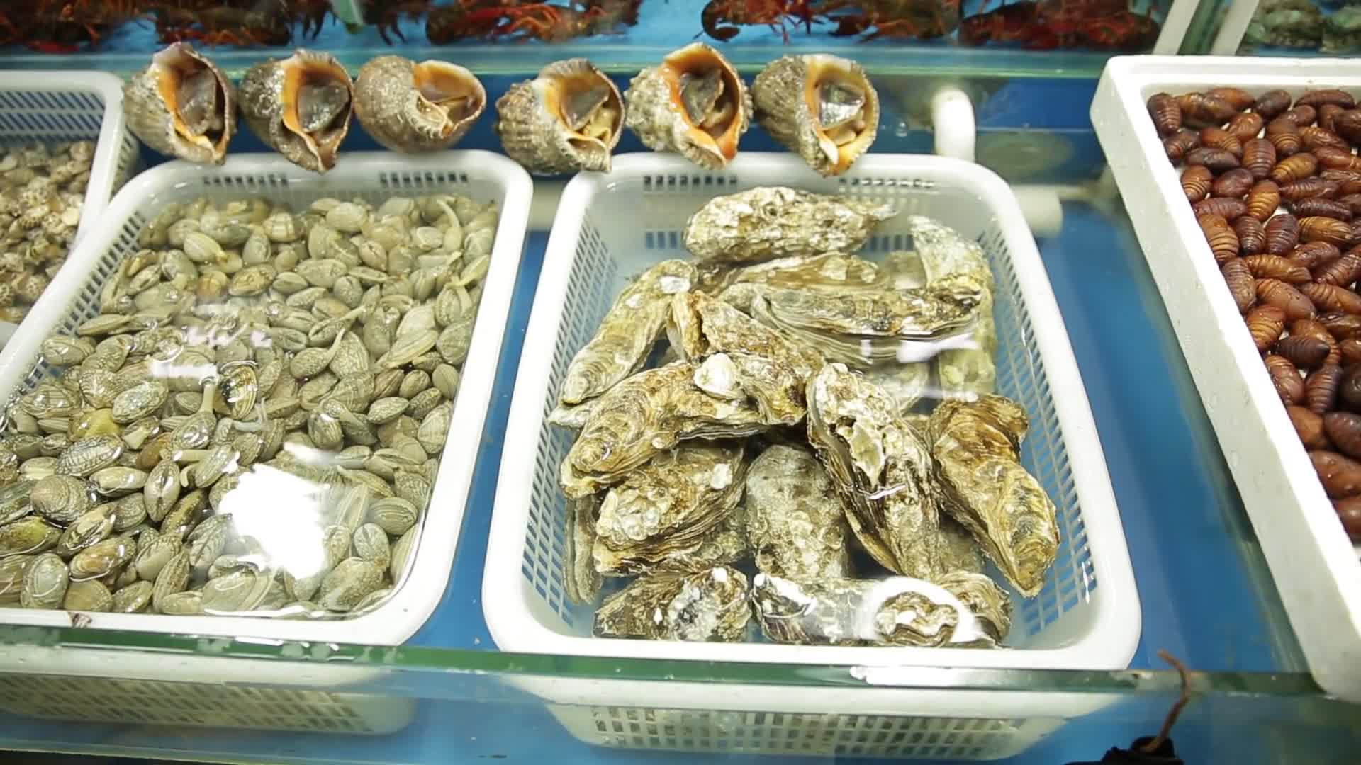 实拍海鲜市场海螺蚬子贝类视频的预览图