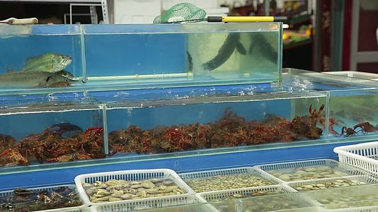 实拍菜市场商贩卖小龙虾视频的预览图