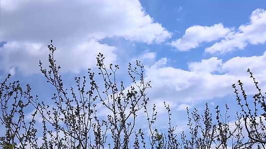 春天天空云朵延时视频的预览图