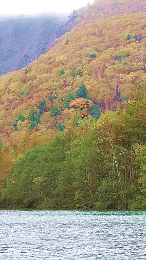 日本阿尔卑斯山上高地秋天风景视频的预览图