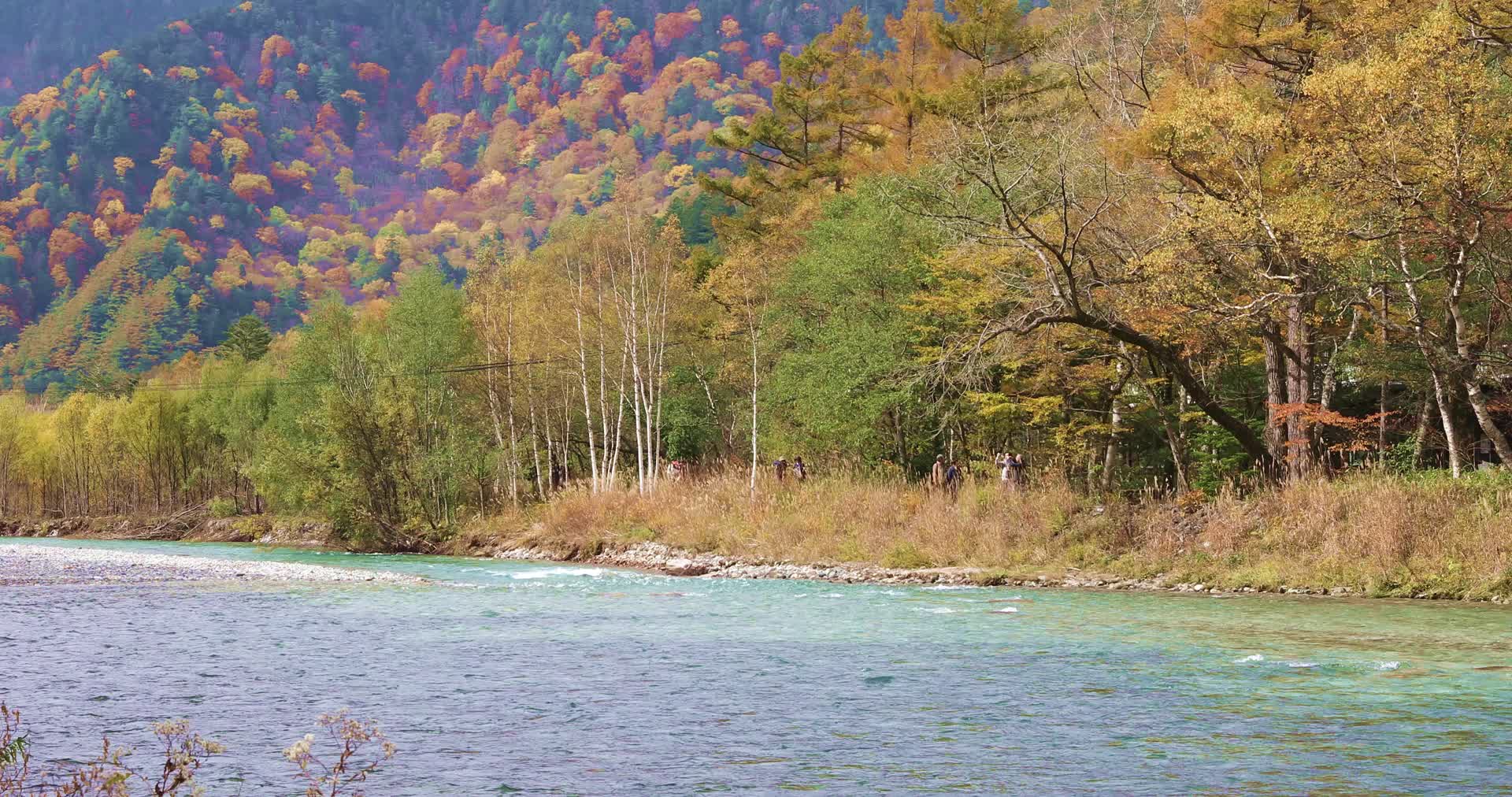 日本阿尔卑斯山上高地秋天河边风景视频的预览图