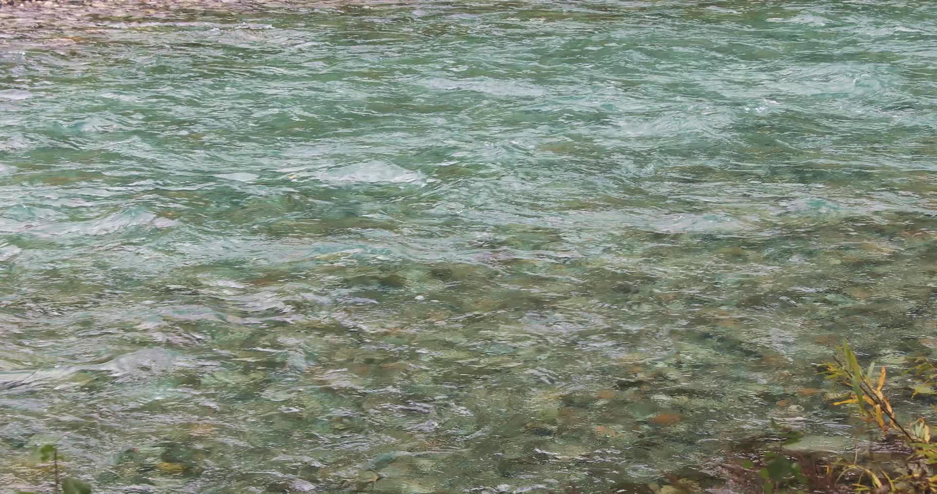 自然保护区清澈的河流水面特写视频的预览图