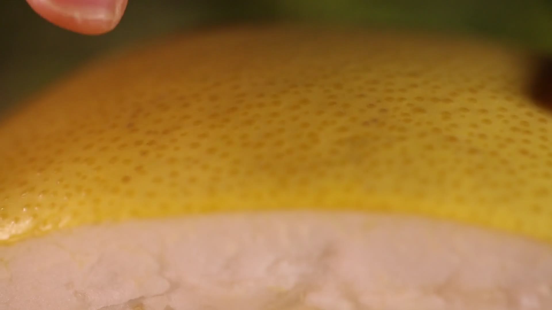 实拍柚子皮视频的预览图