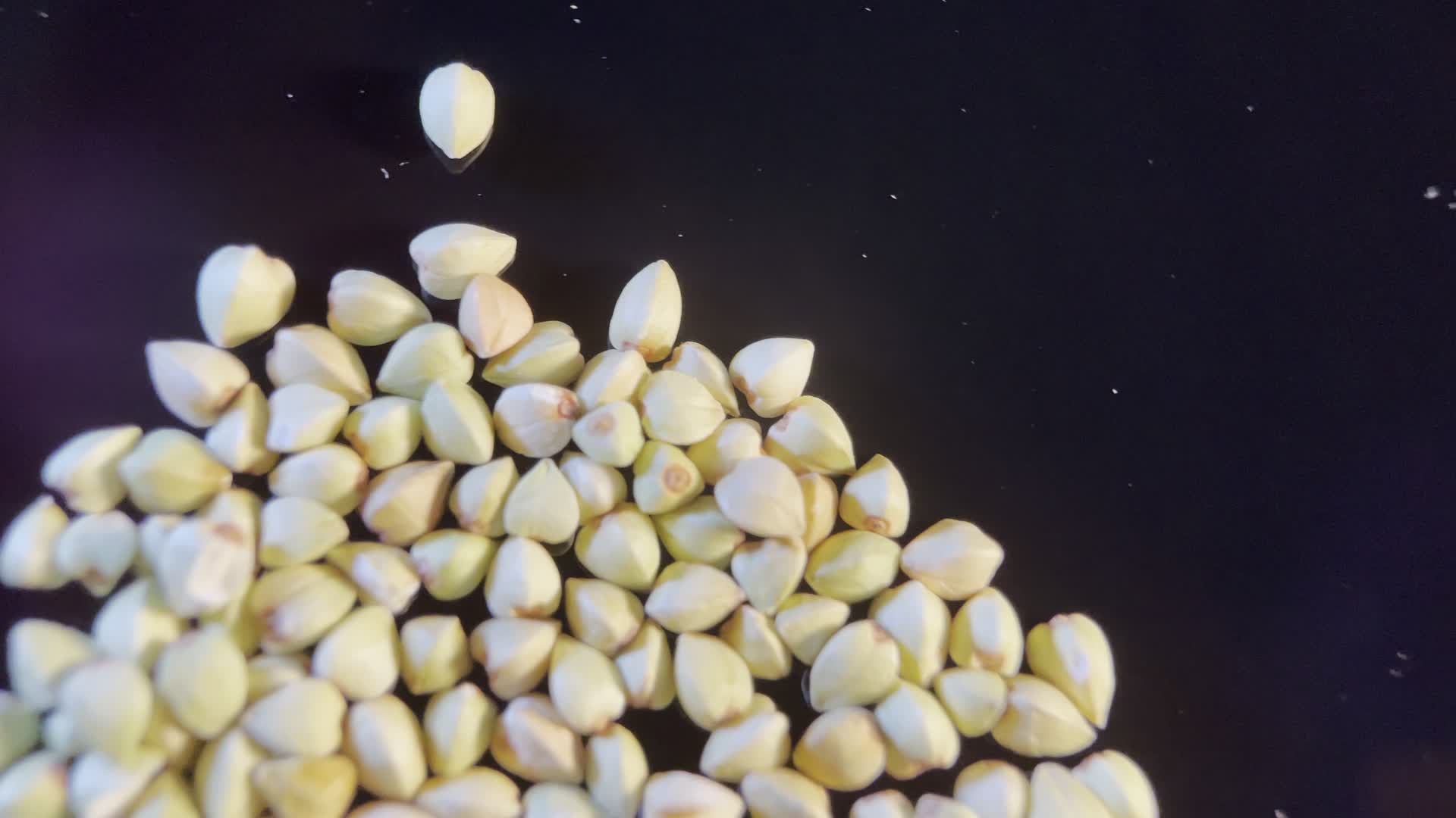 实拍4k微距特写粗粮荞麦视频的预览图