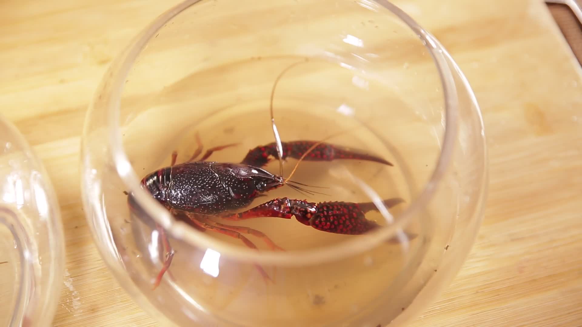 鲜活小龙虾视频的预览图