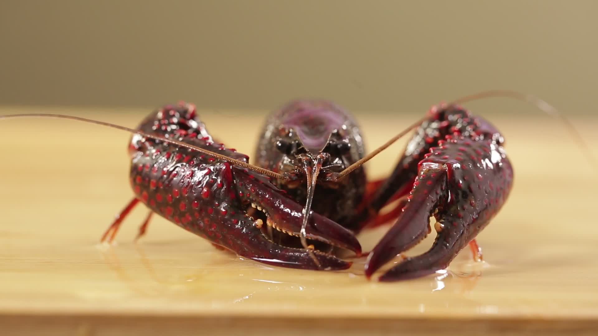 鲜活小龙虾视频的预览图