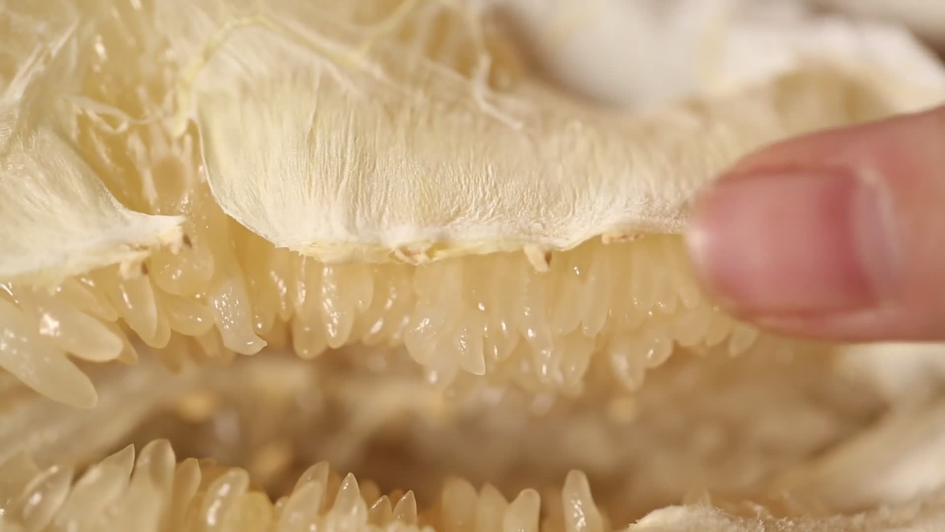 实拍柚子果肉种子视频的预览图