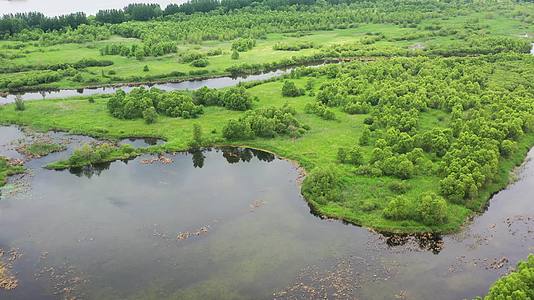 哈尔滨阿勒锦岛湿地公园视频的预览图