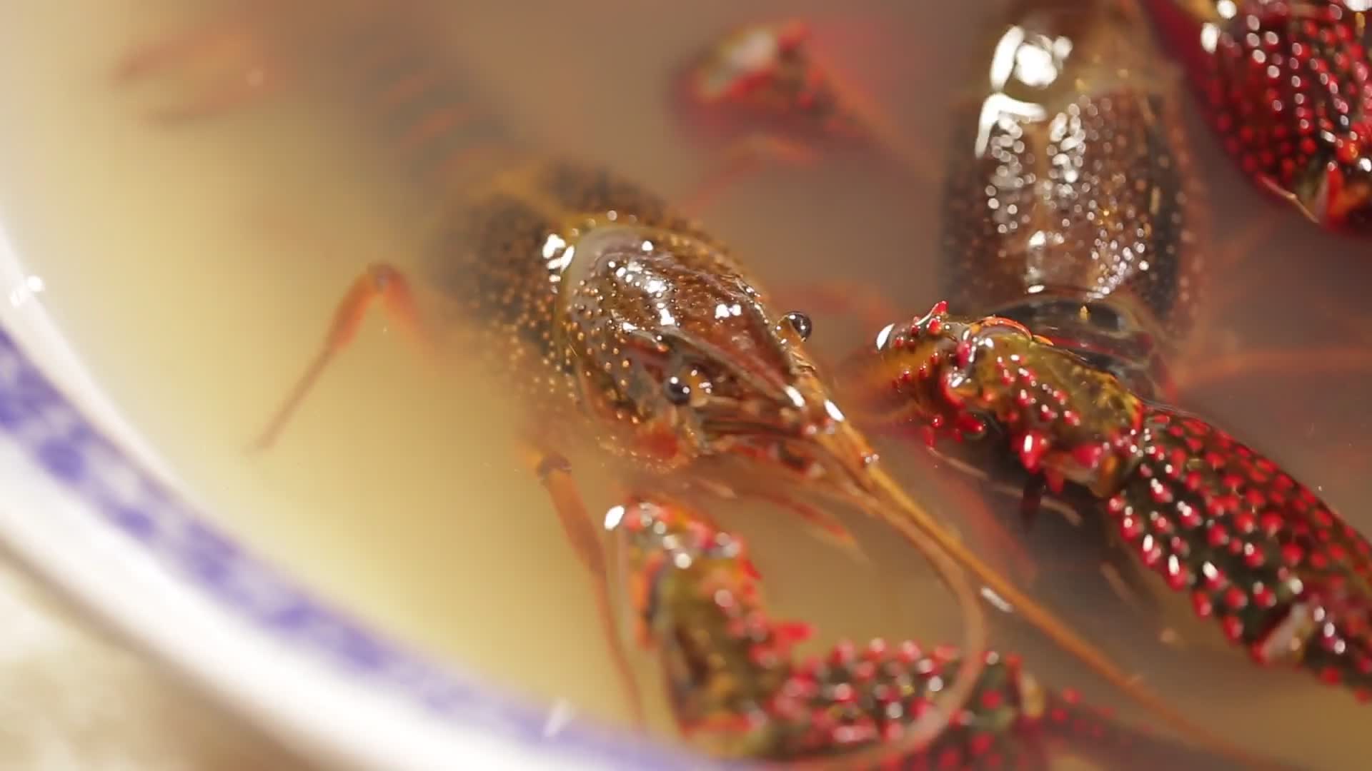 实拍清洗小龙虾脏水视频的预览图