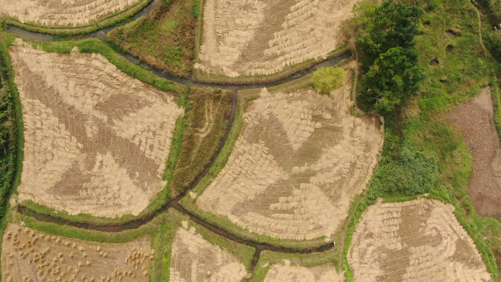 俯拍农业种植农田视频的预览图