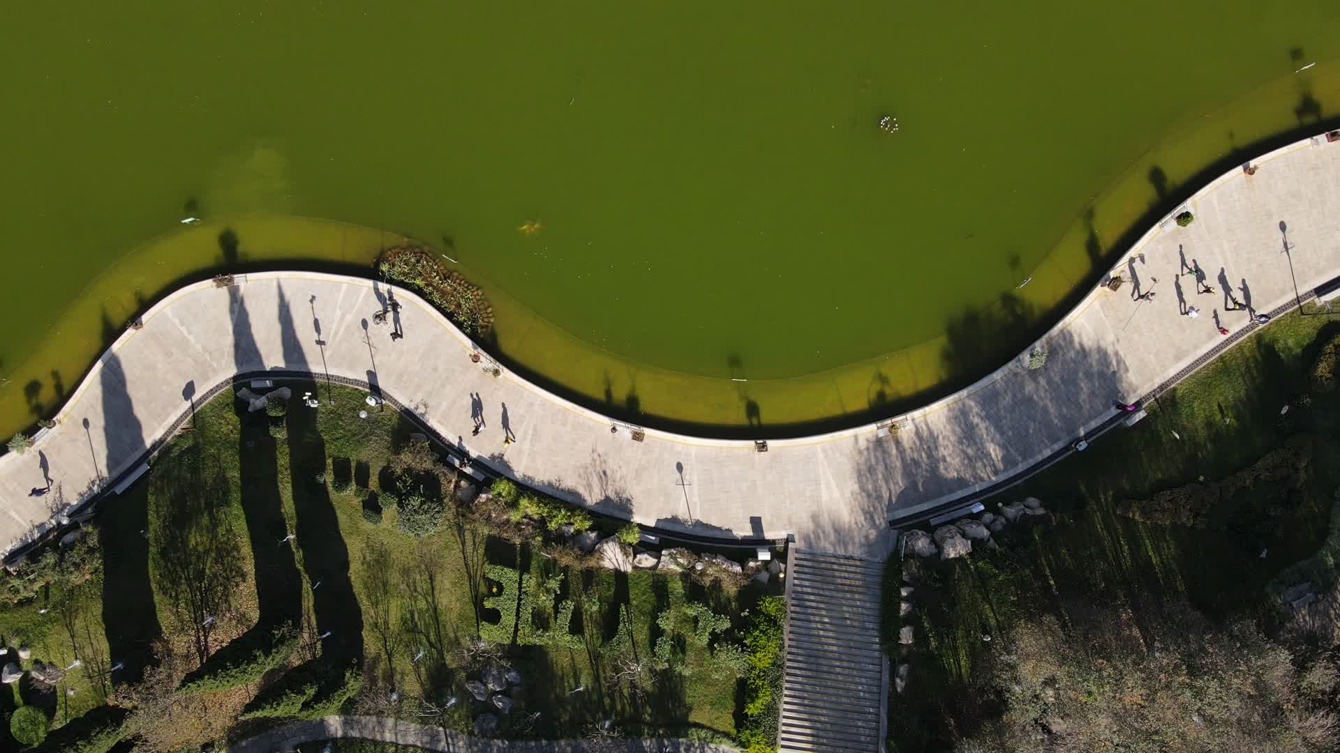 俯拍公园散步人群视频的预览图