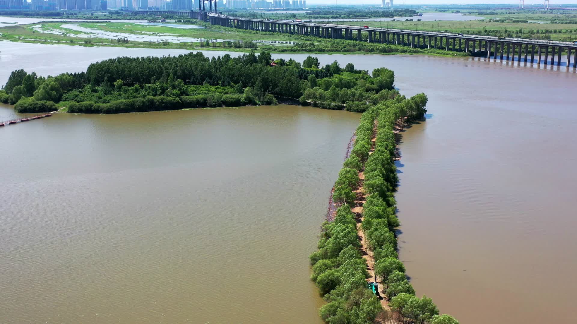 哈尔滨松花江湿地视频的预览图