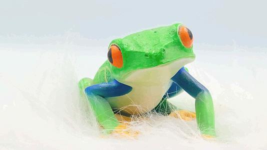 实拍树脂模型青蛙视频的预览图