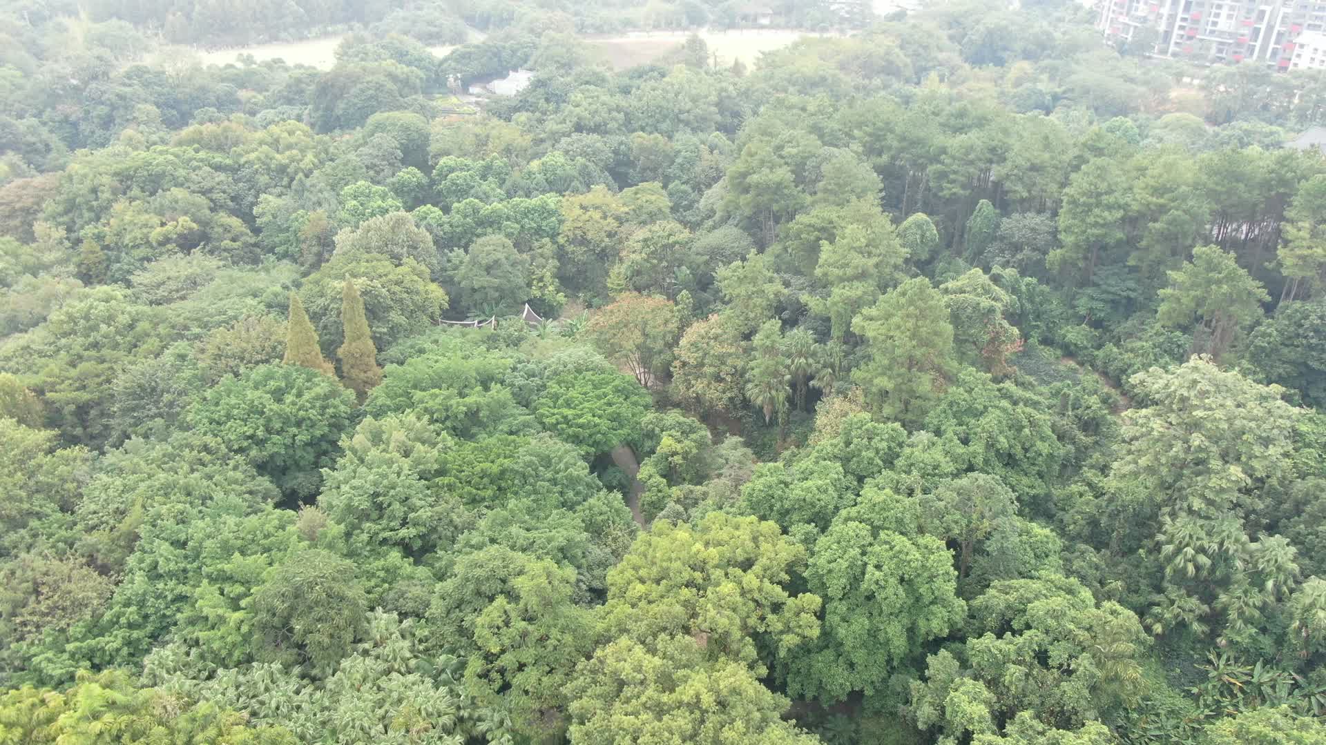 航拍广西桂林植物园视频的预览图