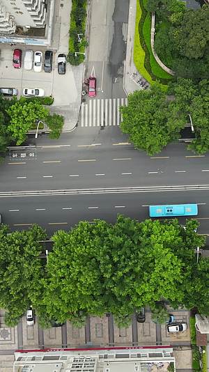 俯拍城市交通视频视频的预览图
