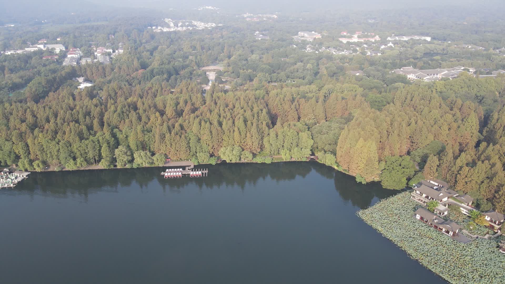 航拍杭州西湖茂密植物视频的预览图