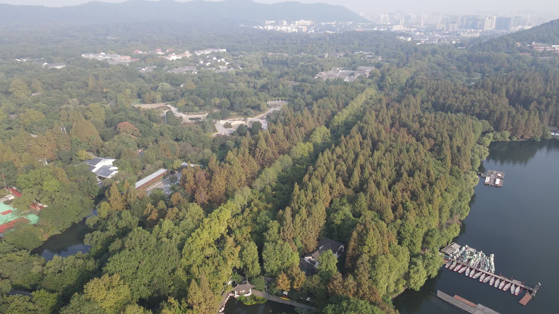 航拍杭州西湖茂密树林植物视频的预览图