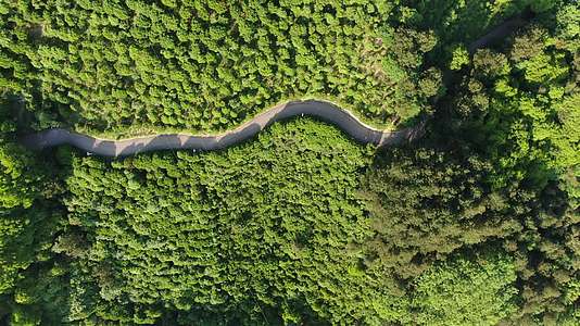 俯拍森林中的公路视频的预览图