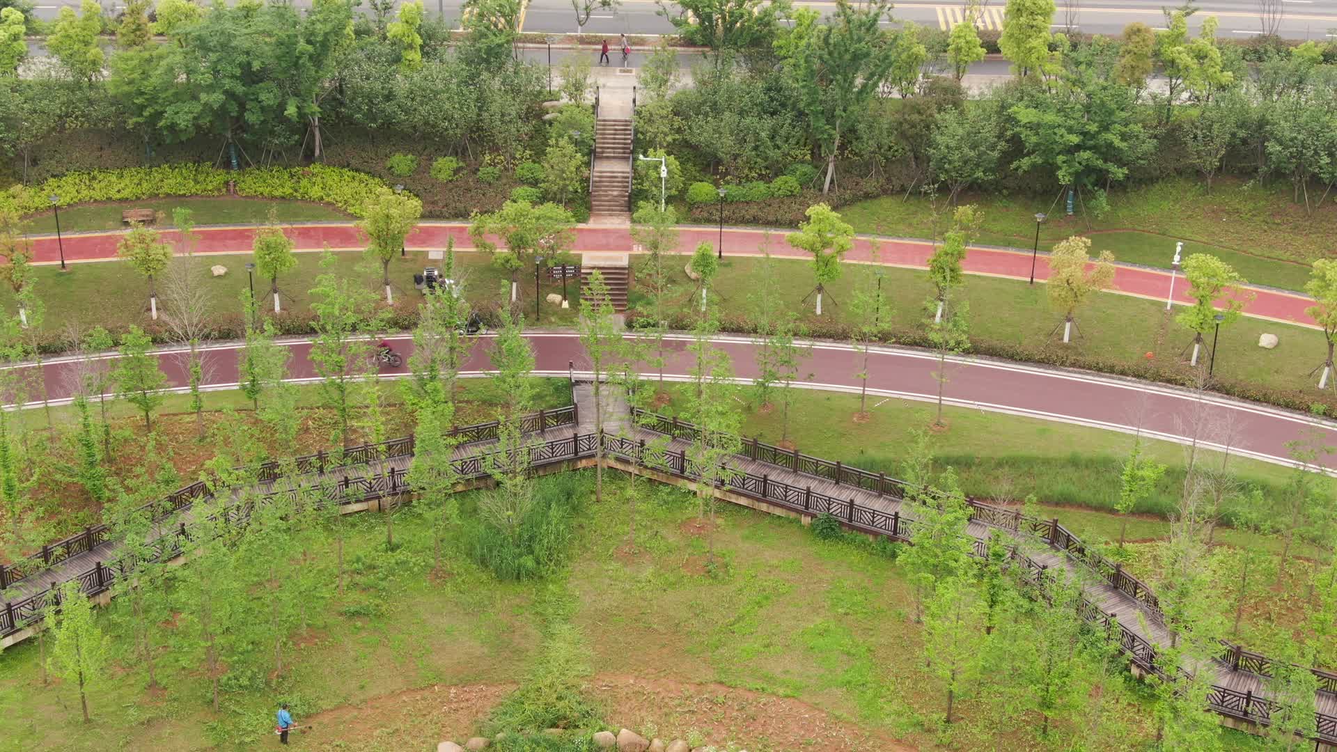 航拍城市湿地公园视频的预览图