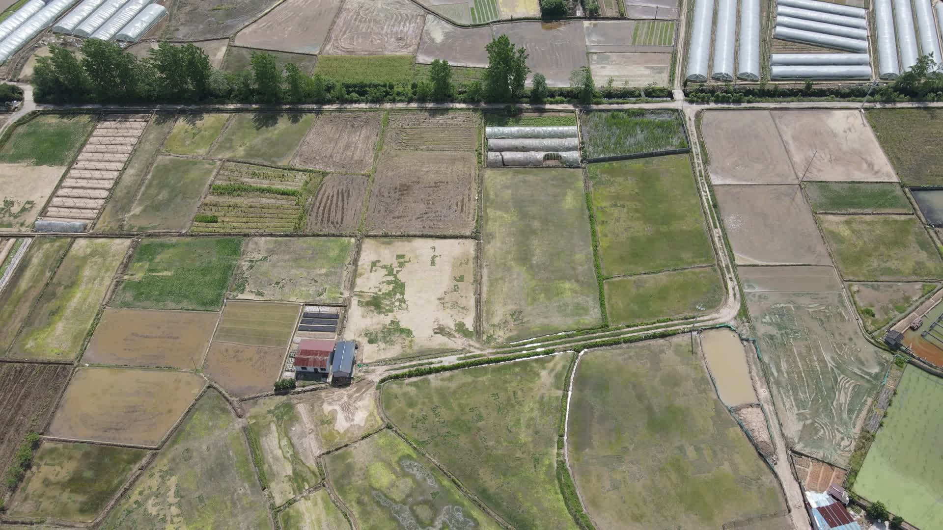 航拍田野乡村农业种植地视频的预览图