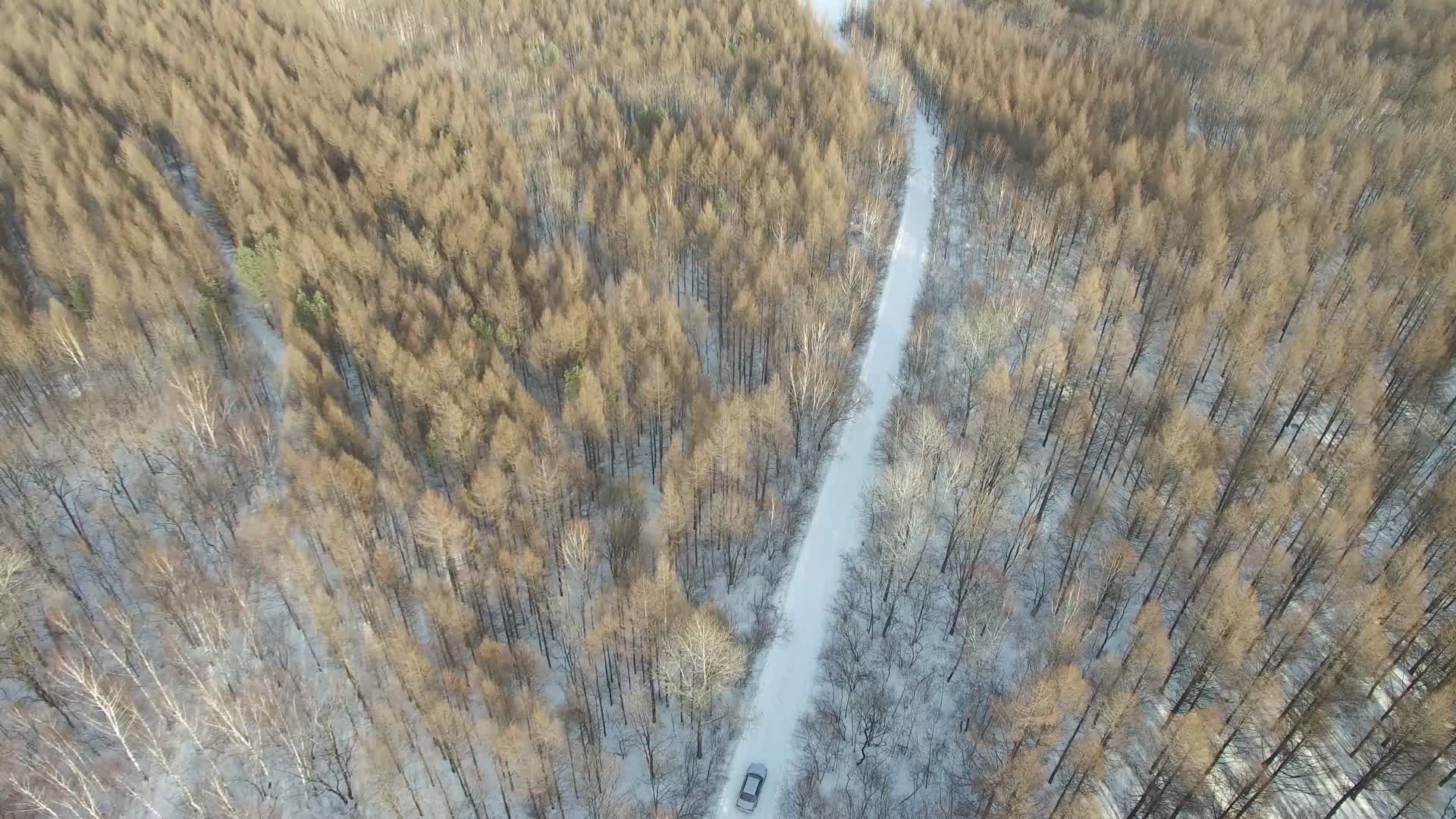 4K航拍冬天大兴安岭视频的预览图