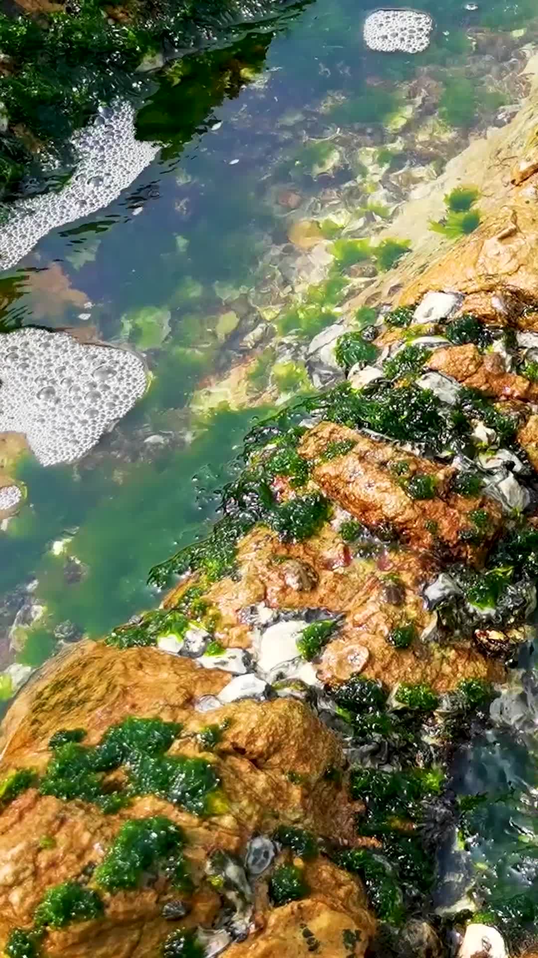 海滩礁石流水海水视频的预览图