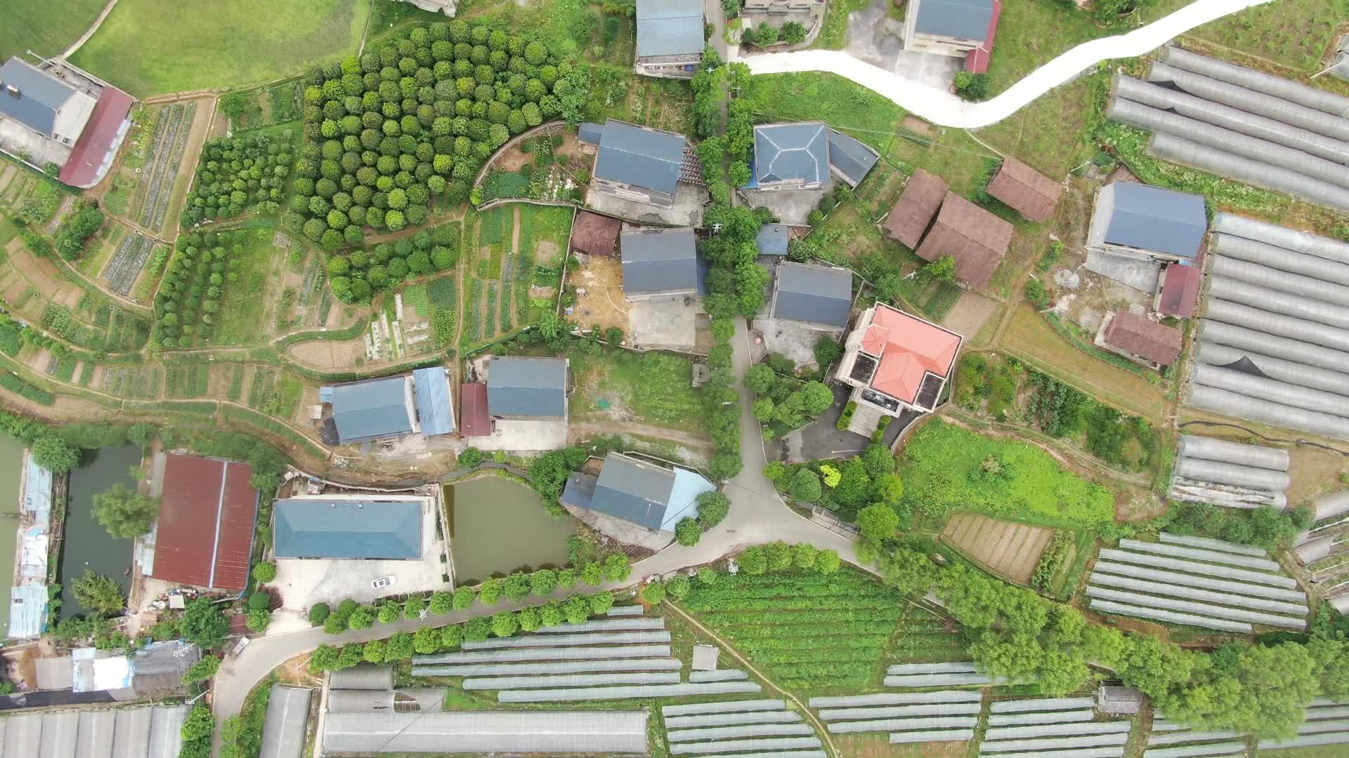 俯拍乡村田园农村居住地视频的预览图