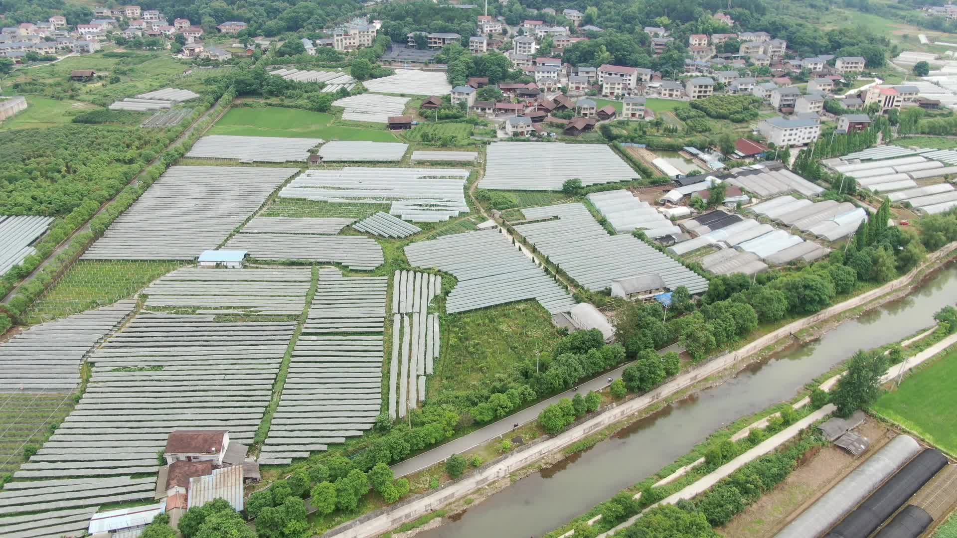 航拍农业大棚种植基地视频的预览图